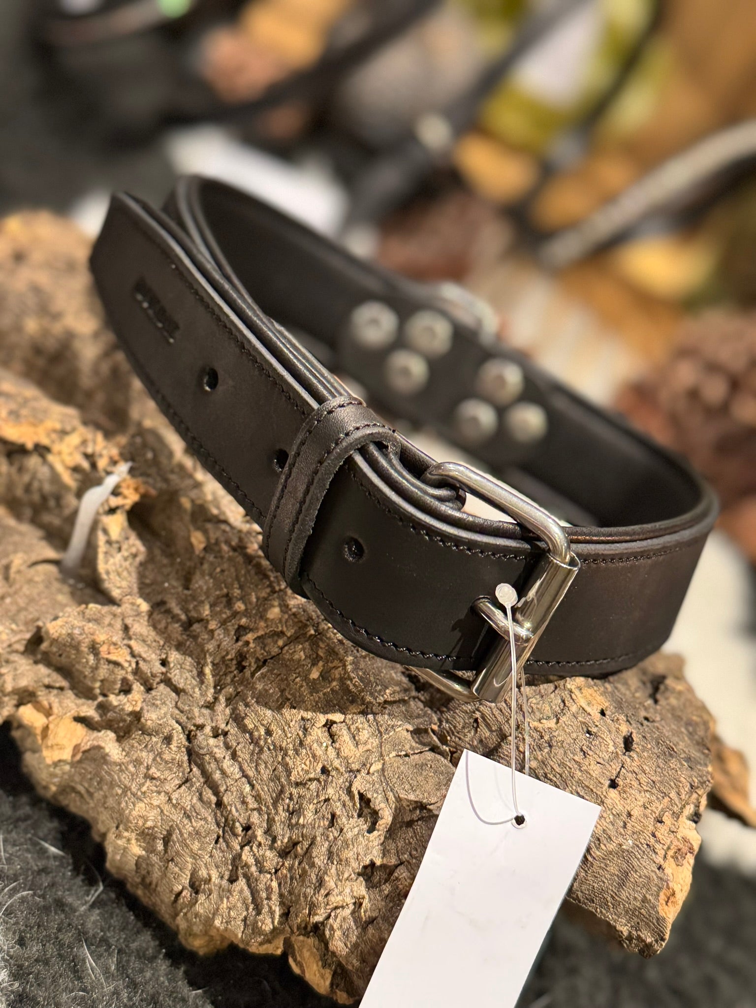 Black leather dog collar with silver buckle