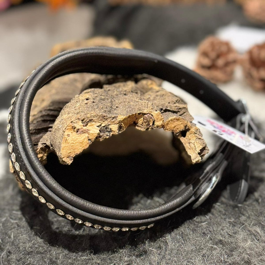 Black leather dog collar with clear crystal studs on a decorative background