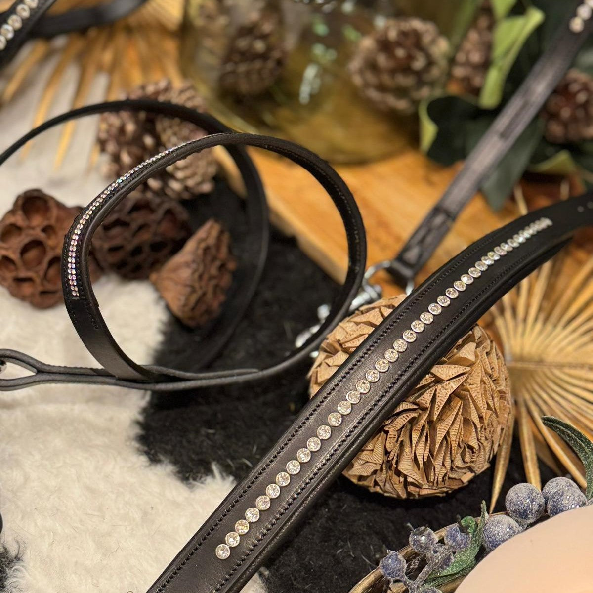 Black leather dog collar with clear crystal studs on a decorative background