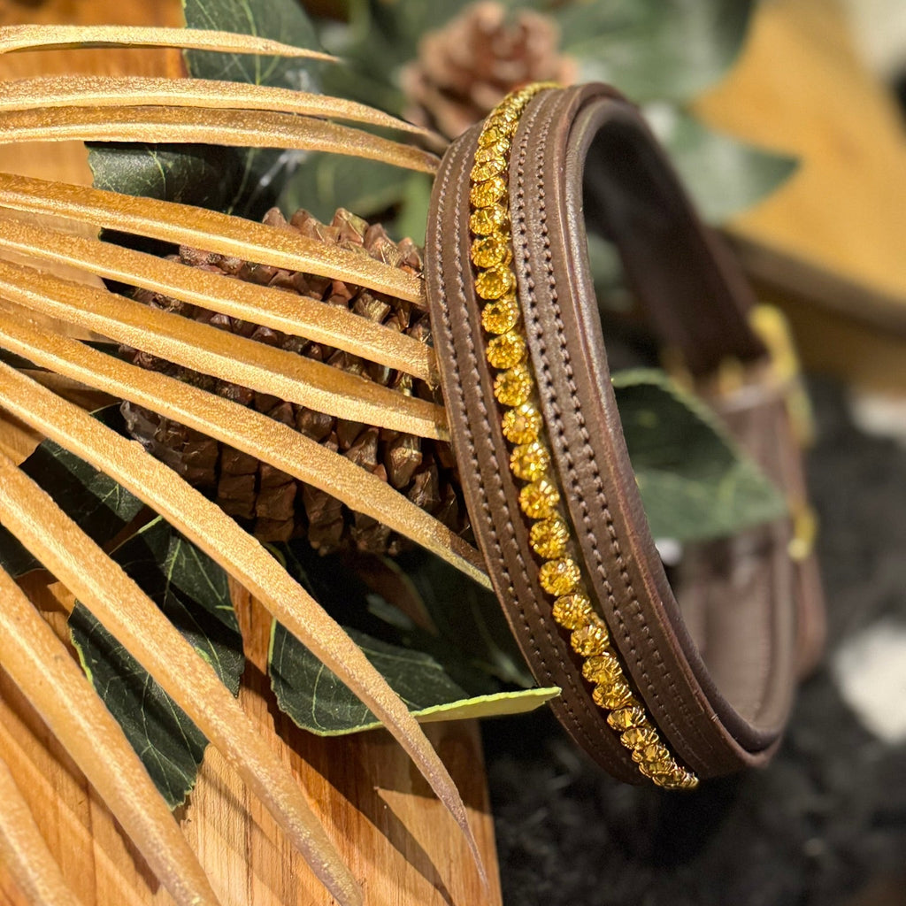 Brown leather padded dog collar with gold crystal studs on a rustic background