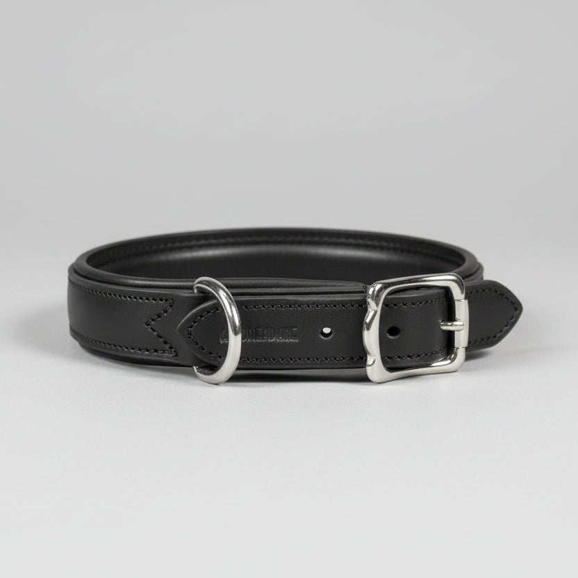 Black leather dog collar with silver buckle on a grey background
