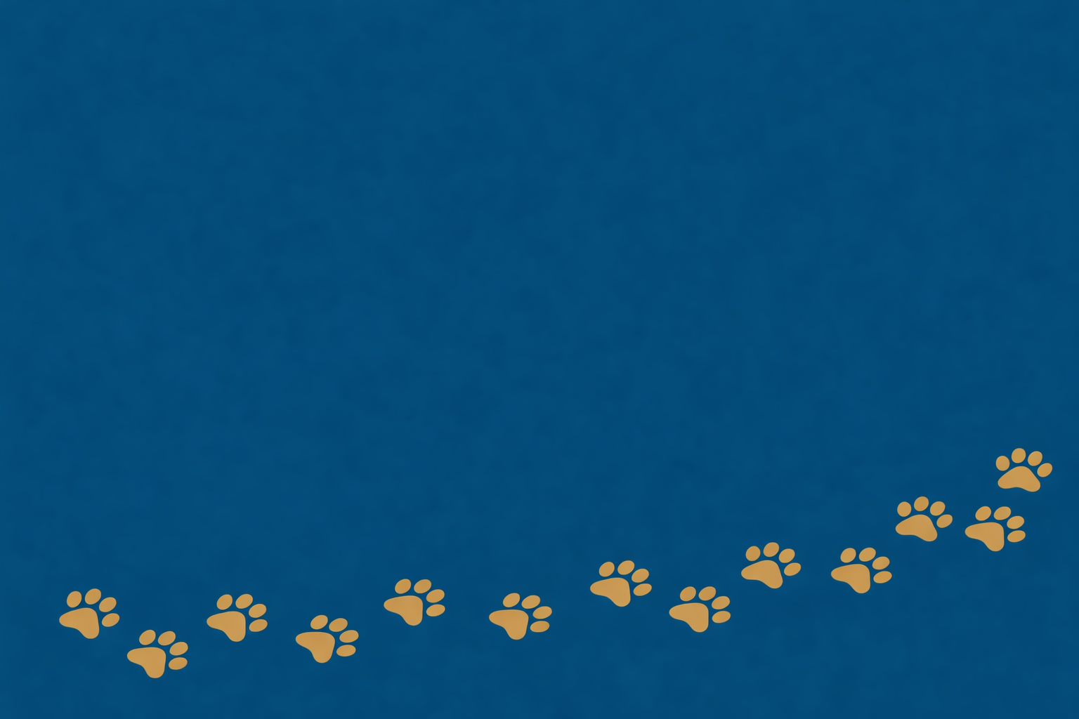 Row of paw prints in gold on a blue background