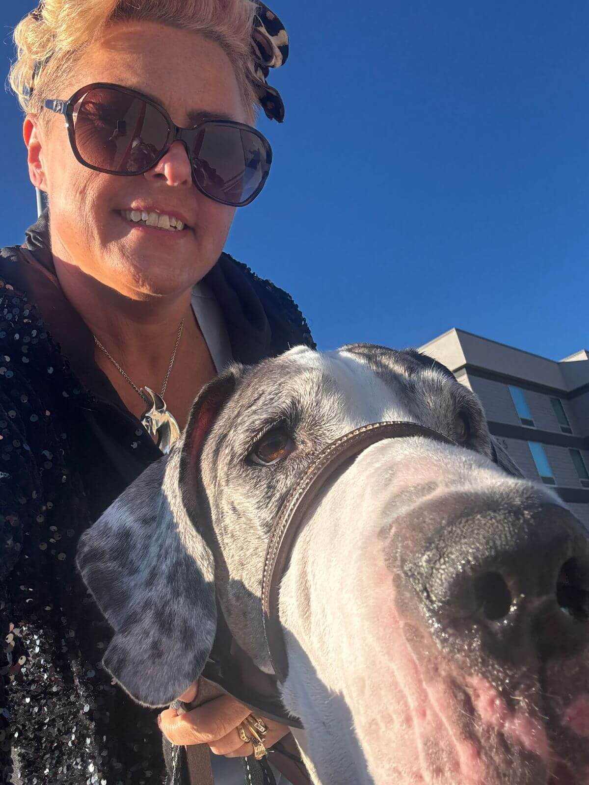 Sarah Tempest smiling with her Great Dane wearing leather head collar