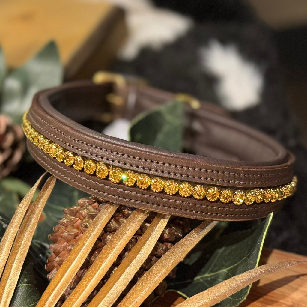 Brown leather dog collar with gold studs, the bolly collar from the Adoreadane Collection